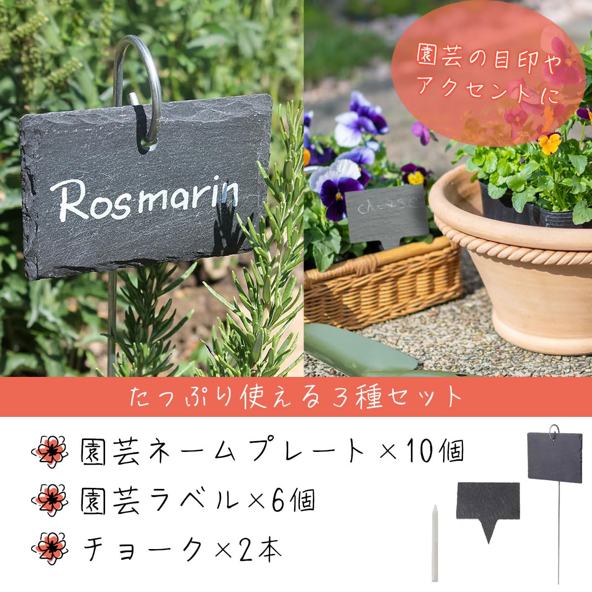 コディサンダーソン　鉢　ネームプレートおまけ コディサンダーソン 鉢 ネームプレートおまけ